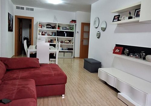 salon (2)